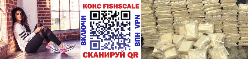 darknet телеграм  Волгодонск  Cocaine Fish Scale  купить  