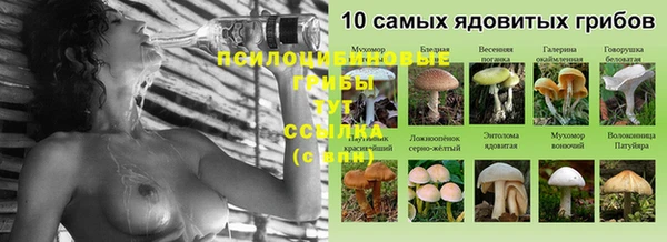соль курить ск Арсеньев